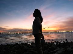 -宝安西湾红树林湿地公园