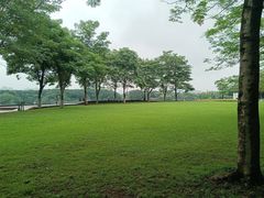 -海珠湖公园