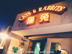 -Cats&Rabbits猫兔酒吧