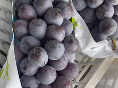 -马陆小张葡萄园农家乐