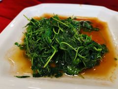 -阿莉餐厅(枣阳路店)