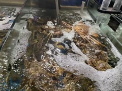 -蟹之国·精品蟹料理(极地店)