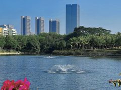 -深圳龙潭公园