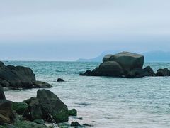 -花海间·即刻露营