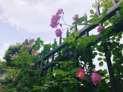 -女王传奇SPA·美容美体