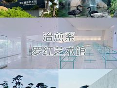 -罗红摄影艺术馆