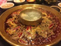 -杨家火锅(国美店)