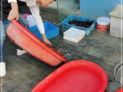 -盱眙虾怪·旗舰店
