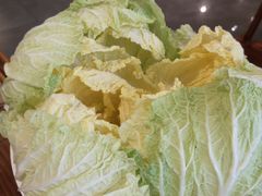 大白菜-竹叶涮肉坊(总店)