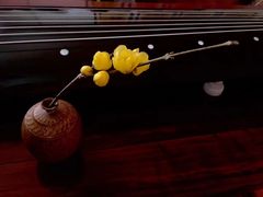 -养心斋涵信茶艺茶道培训