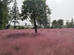 -嘉北郊野公园