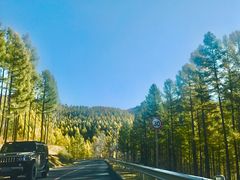 -塞罕坝国家级自然保护区