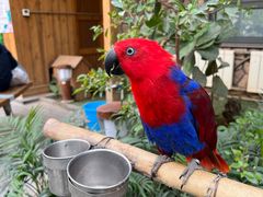 -南宫五洲植物乐园