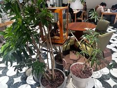 -一尺花园(安和花园店)