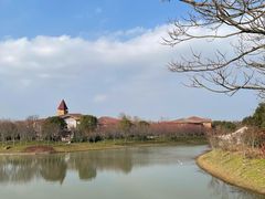 -上海海湾国家森林公园