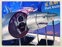 -烟台海昌鲸鲨海洋公园