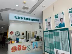 -中农国际动物医院24小时·猫科·骨科·急重症中心