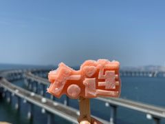-星海湾跨海大桥