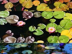 -国家植物园南园