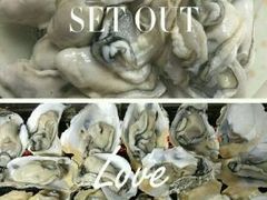 -蚝乡农庄(铁涌赤岸店)