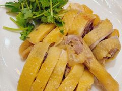 -瑞记湛江鸡饭店·粤西第一鸡(粤垦店)