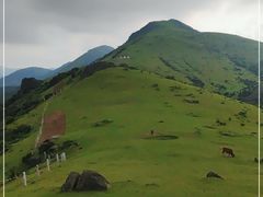 -大姆山草场