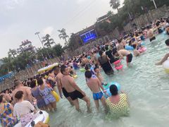-重庆海昌加勒比海水世界