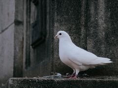 -音乐台
