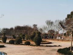 -武汉紫薇都市田园