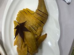 -骏莱海鲜鱼港(五角场店)
