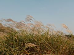 -良渚古城遗址公园