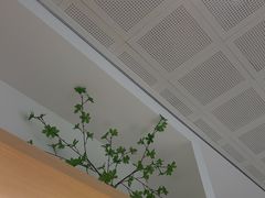 -极简口腔(总院)