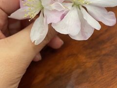 -普天和酒楼(天津之眼店)