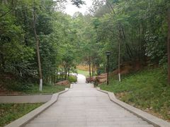 -富乐山