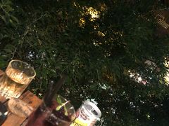 -Rainforest