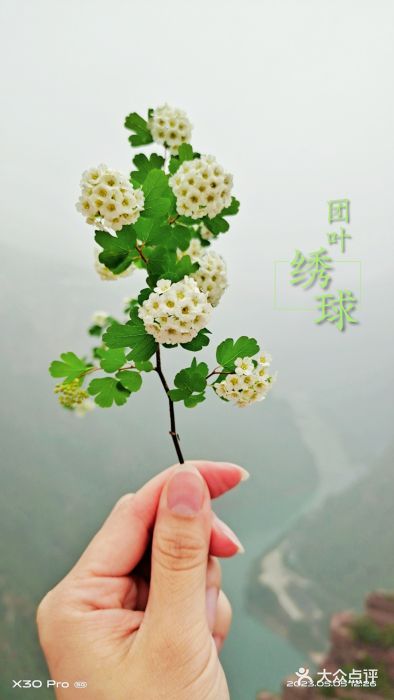 河南宝泉旅游区图片