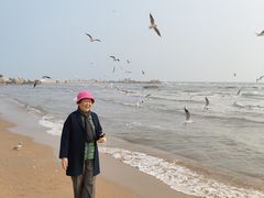 -老虎石海上公园