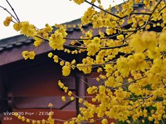 -钱王祠