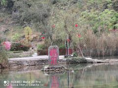 -靖西鹅泉风景区