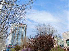 -招商银行(天津分行营业部)