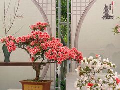-上海方塔园