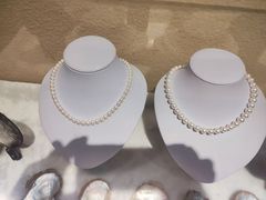 -合浦汉代文化博物馆