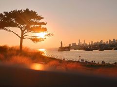 -小麦岛公园