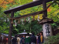 -野宫神社