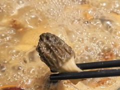 -蘑统田下·野生菌火锅