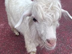 -水上乐园·欢乐世界