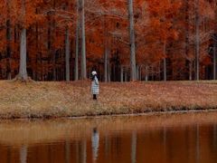 -黄海国家森林公园