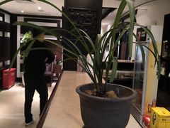 -皇城老妈火锅(琴台店)