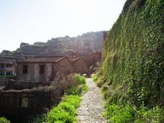 -枸杞岛