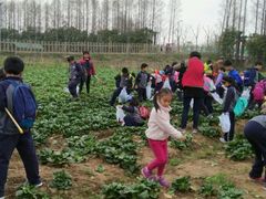 -上海长兴岛郊野公园